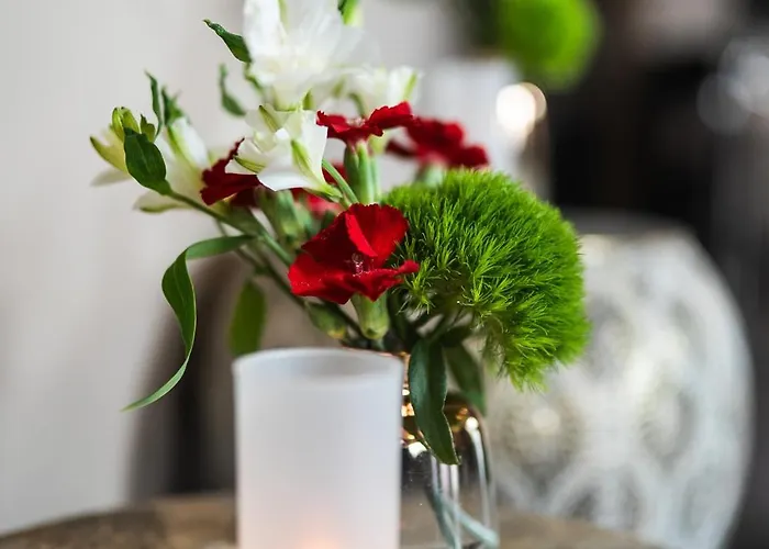 Le Nid D'ange Bed & Breakfast